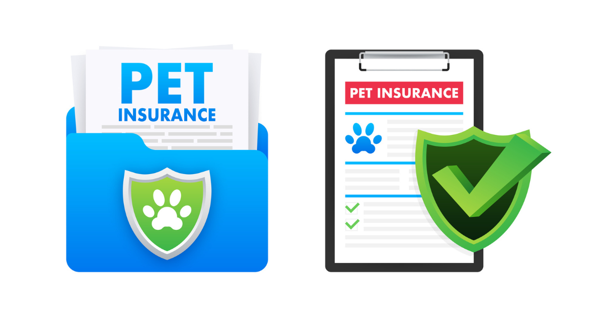 Image of Pet Insurance Certificate 