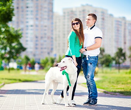 A couple walking there dog in a city park