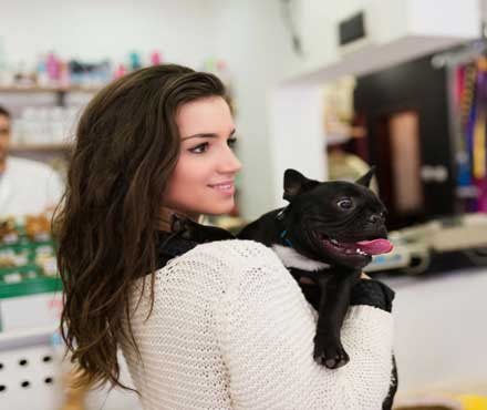 A woman holding a French bulldog puppy