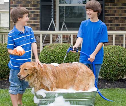 Two Boys Bathing A Dog Outside