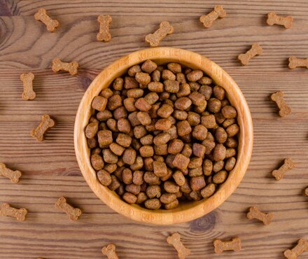 A bowl of dog kibble