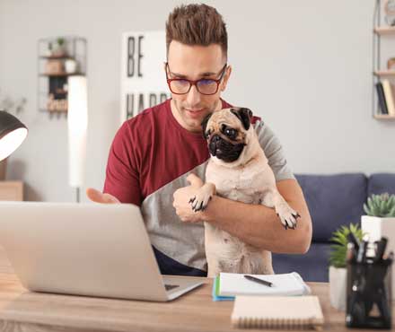 Is Pet Insurance Right For Me?