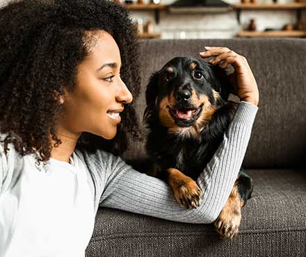 woman petting her dogs head on a couch