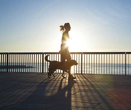 How Much Exercise Does My Dog Need?