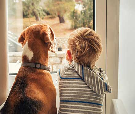 Dog Safety for Kids