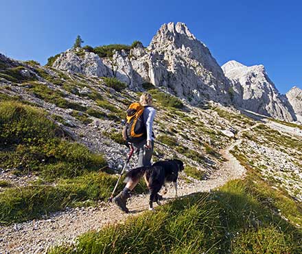 Dog Hiking Safety Tips