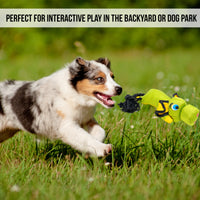 A thrilled, fluffy dog darts across the lush green grass, eagerly chasing a Hyper Pet Flying Pig Interactive Dog Toy. A banner at the top reads, PERFECT FOR INTERACTIVE PLAY IN THE BACKYARD OR DOG PARK.