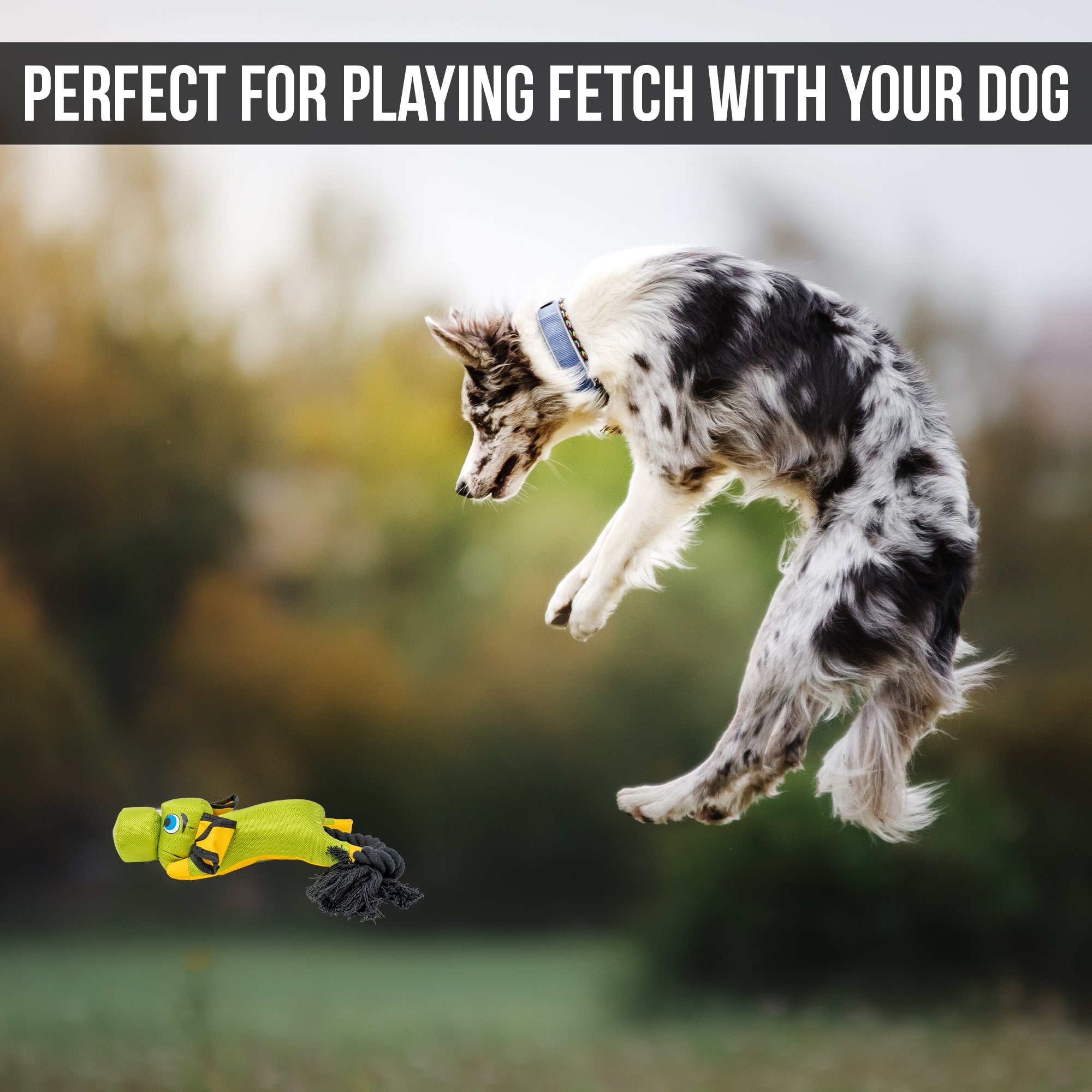 A black and white dog with fluffy fur and a blue collar leaps to catch a green Hyper Pet Flying Pig Interactive Dog Toy, made by Hyperpet. Resembling a bird, its durable ballistic material promises endless fun in the blurred greenery. Text at the top reads PERFECT FOR PLAYING FETCH WITH YOUR DOG.