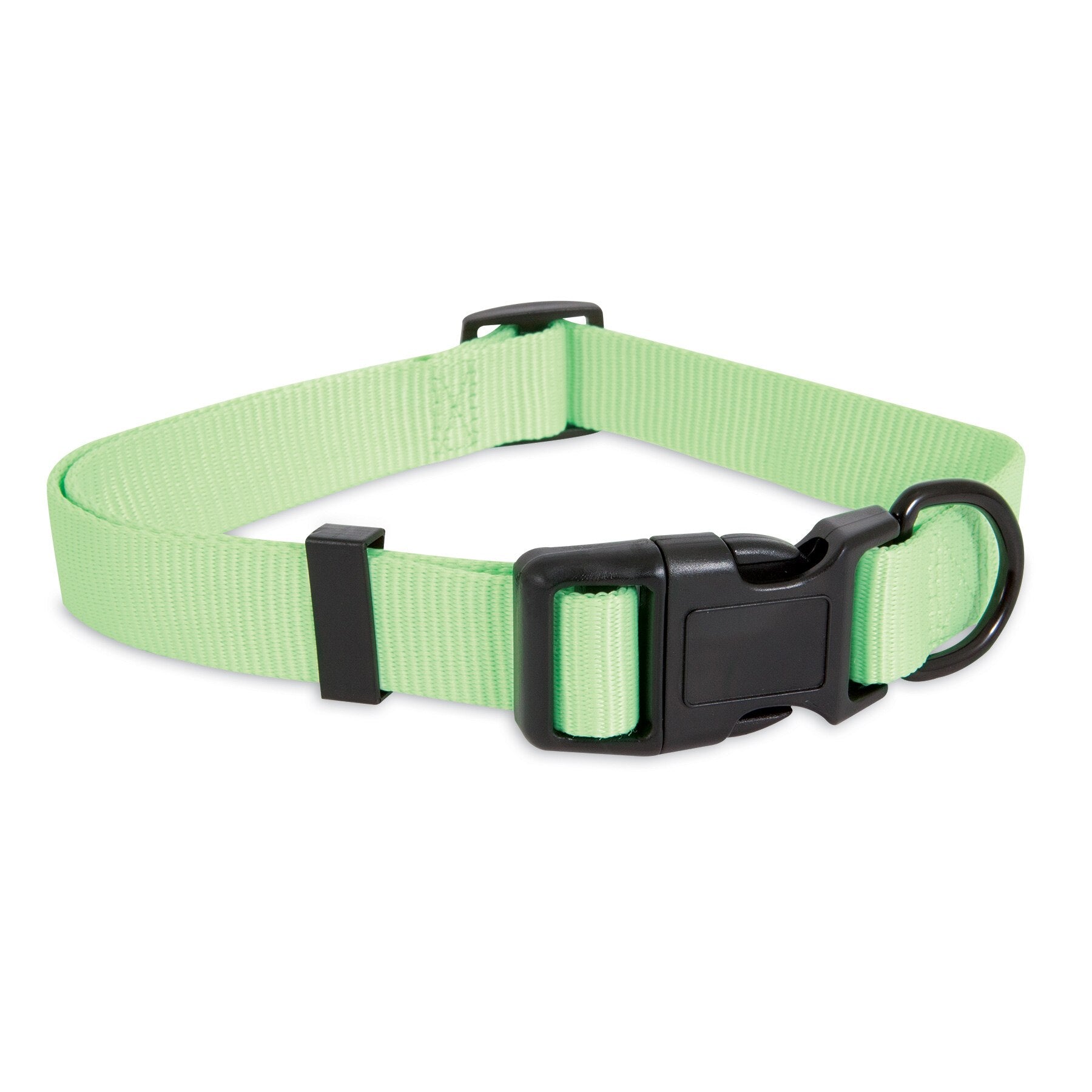 Petmate dog deals collar