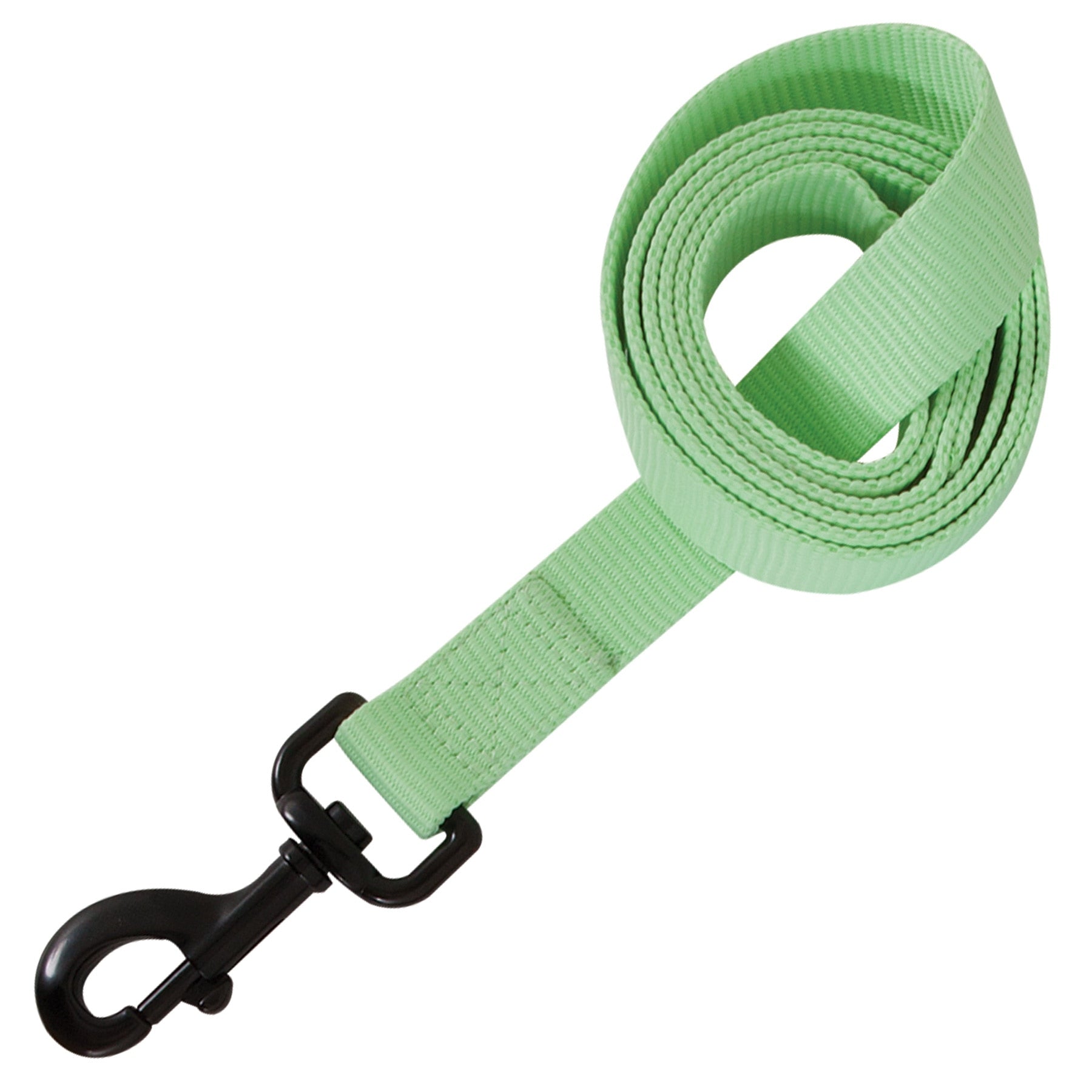 Aspen 2025 pet leash