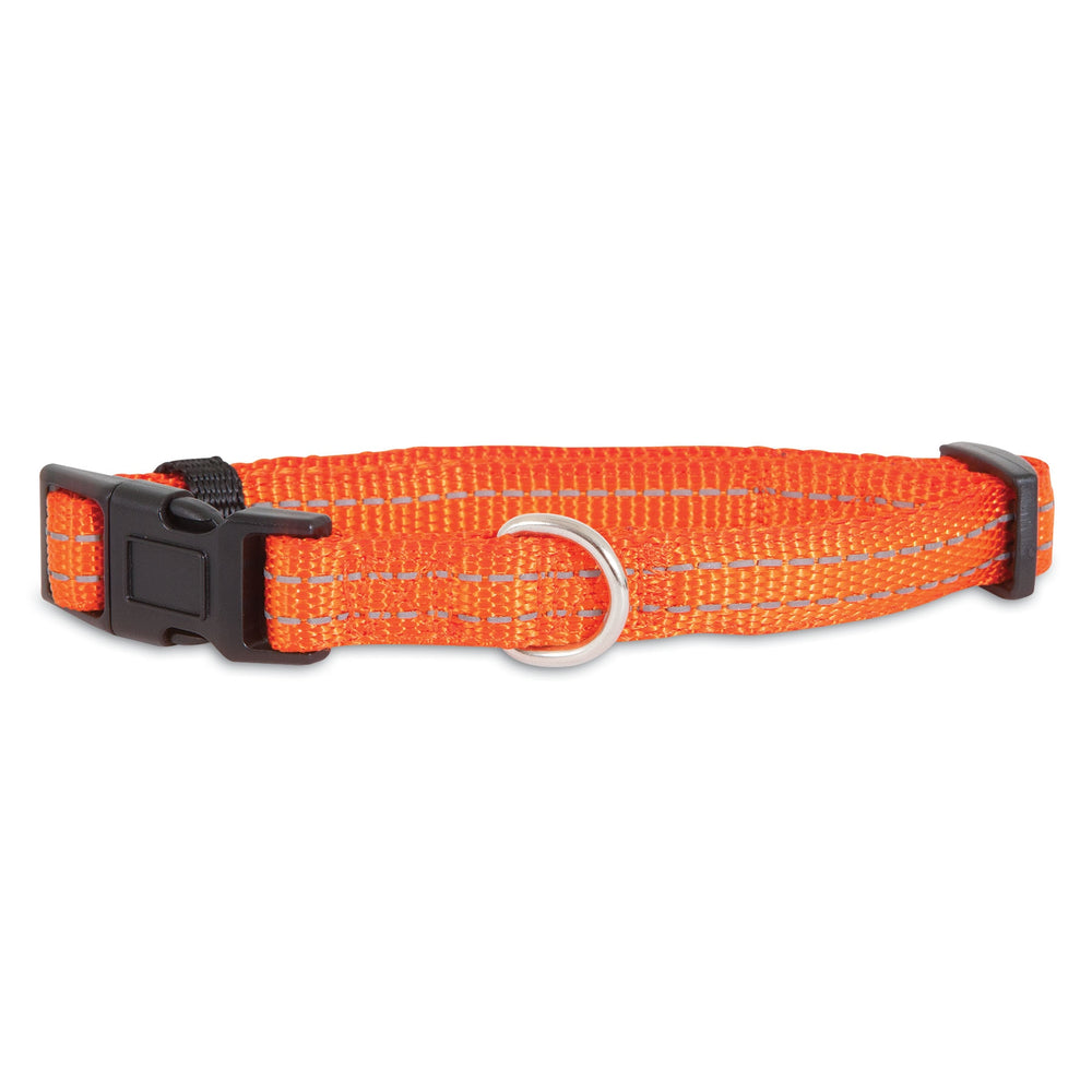 The Petmate Padded Reflective Adjustable Dog Collar is bright orange with a padded design, adjustable black plastic buckle, and silver metal ring for attaching leashes or ID tags, shown against a white background.