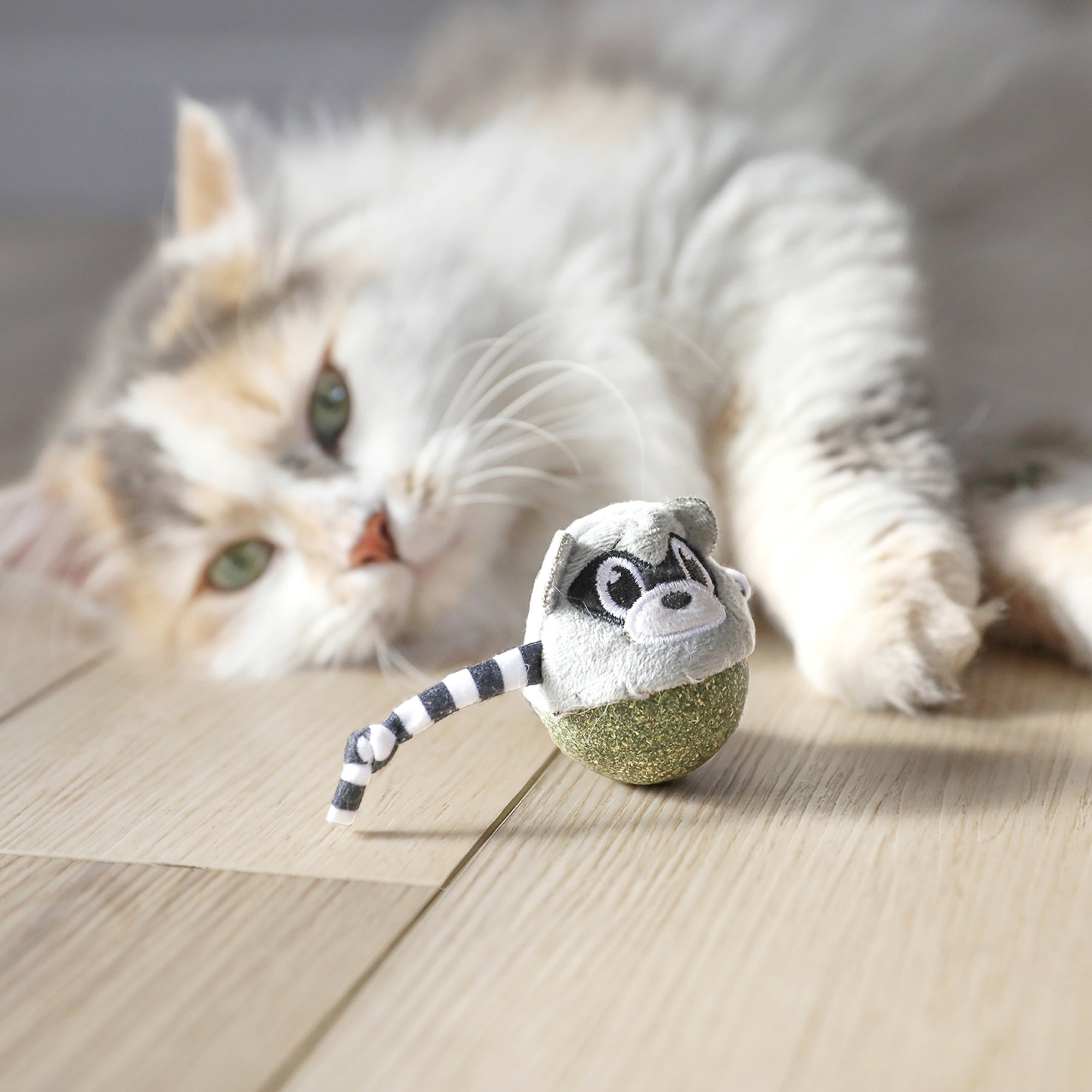 Quirky Kitty Rolly Raccoon Catnip Bobbler Cat Toy