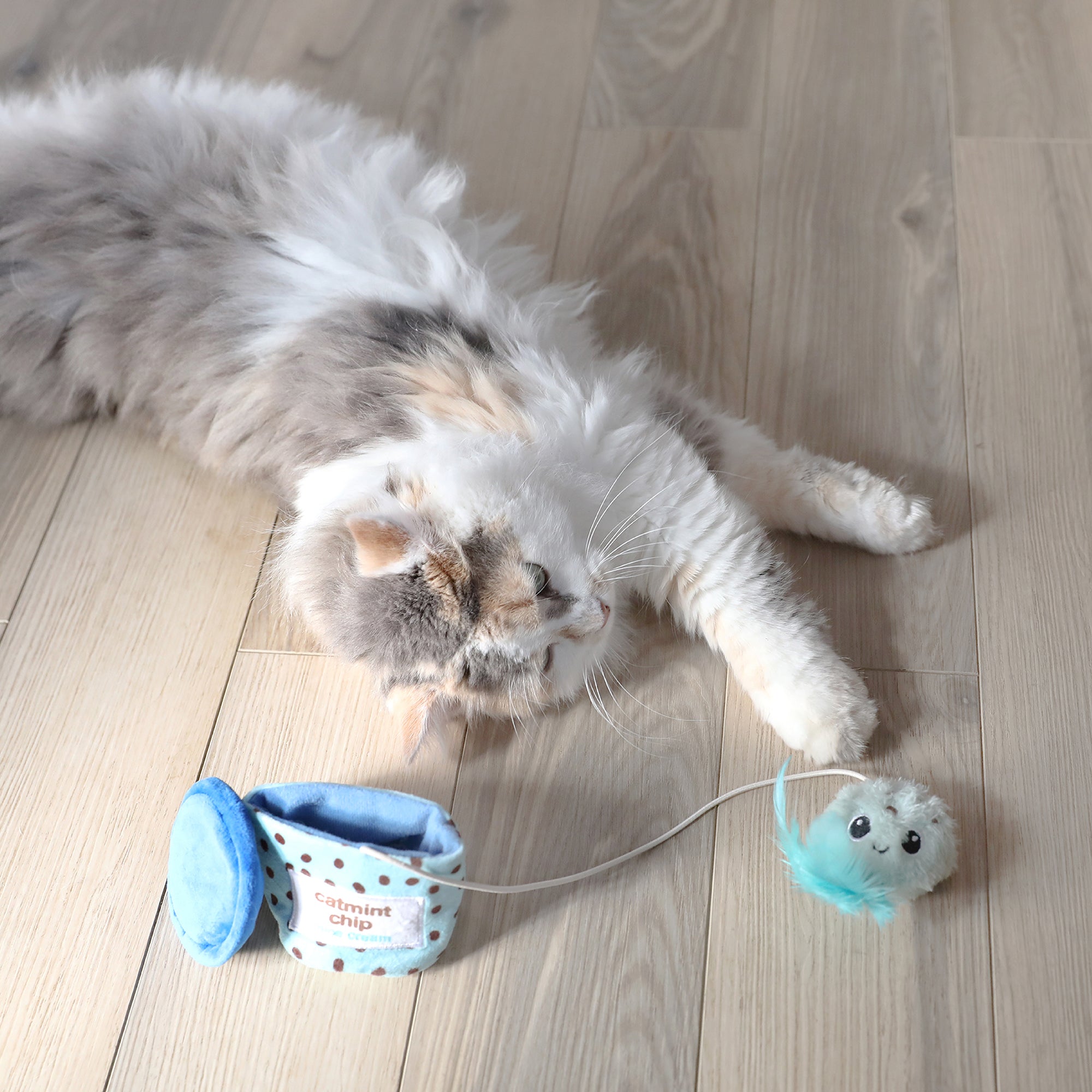 A fluffy cat with a mix of grey, white, and tan fur lies on a light wooden floor. Before it is the Quirky Kitty Mice Cream Hide-A-Toy Cat Toy—a stimulating blue container holding a small blue and beige plush infused with catnip—offering endless entertainment.