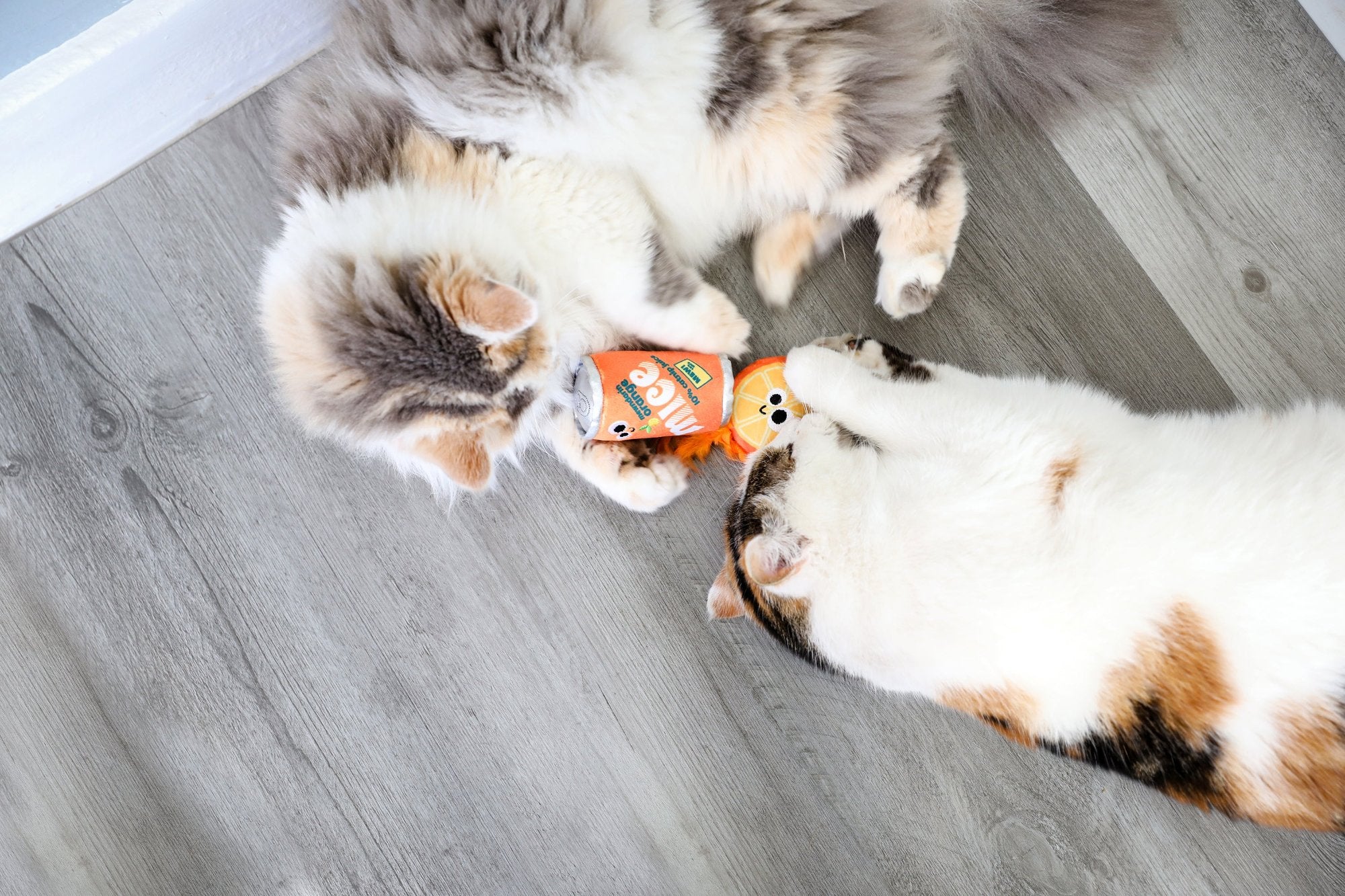 Two fluffy cats are on a wooden floor, playfully pawing at a Mad Cat Orange Mice Soda toy infused with silvervine. One cat is multicolored, and the other is gray and white.