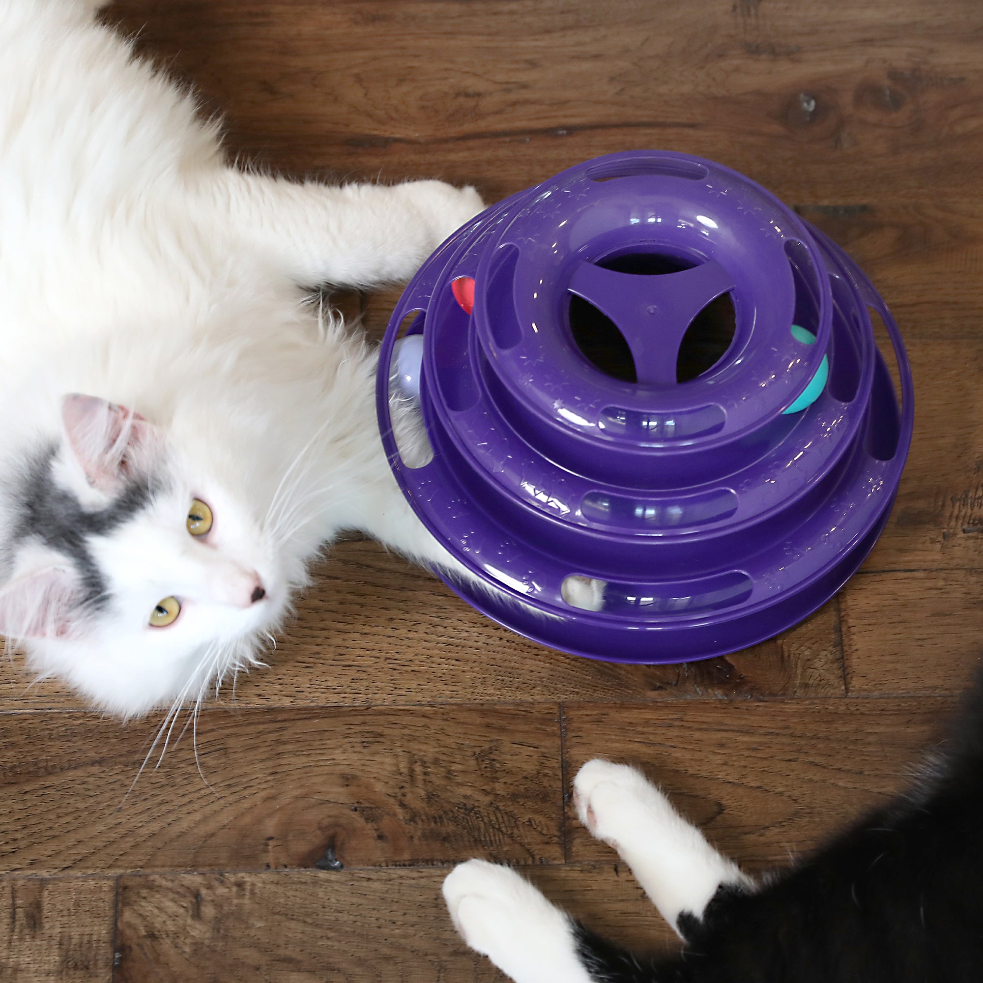 Quirky Kitty Three Layer Ball Track Cat Toy