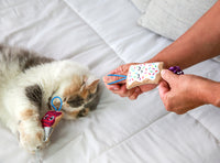 A fluffy cat enjoys a playful afternoon on a bed, batting at Quirky Kittys North American-grown catnip toy, the Flingin Purr Tarts shaped like a toaster. Nearby, someone holds a sprinkle-topped pop tart. The scene highlights the cats joyful play and pure enjoyment.