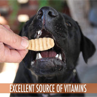 A black dog eagerly bites a biscuit from a person's hand. The text reads, "EXCELLENT SOURCE OF VITAMINS." Wild Eats Sweet Potato Treats support digestive health in an outdoor setting with a beautifully blurred background.