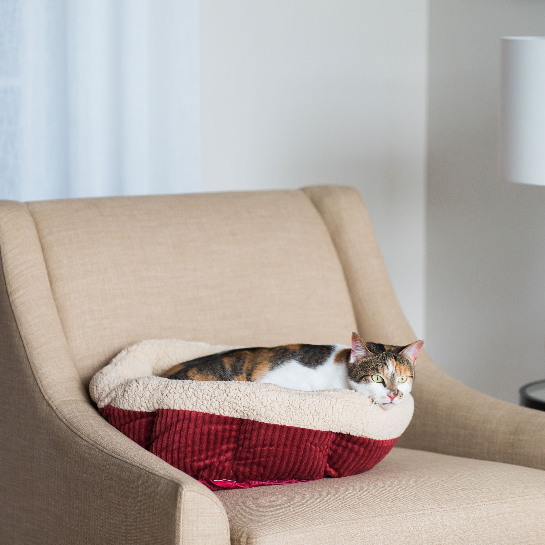 Aspen self warming cat bed hotsell