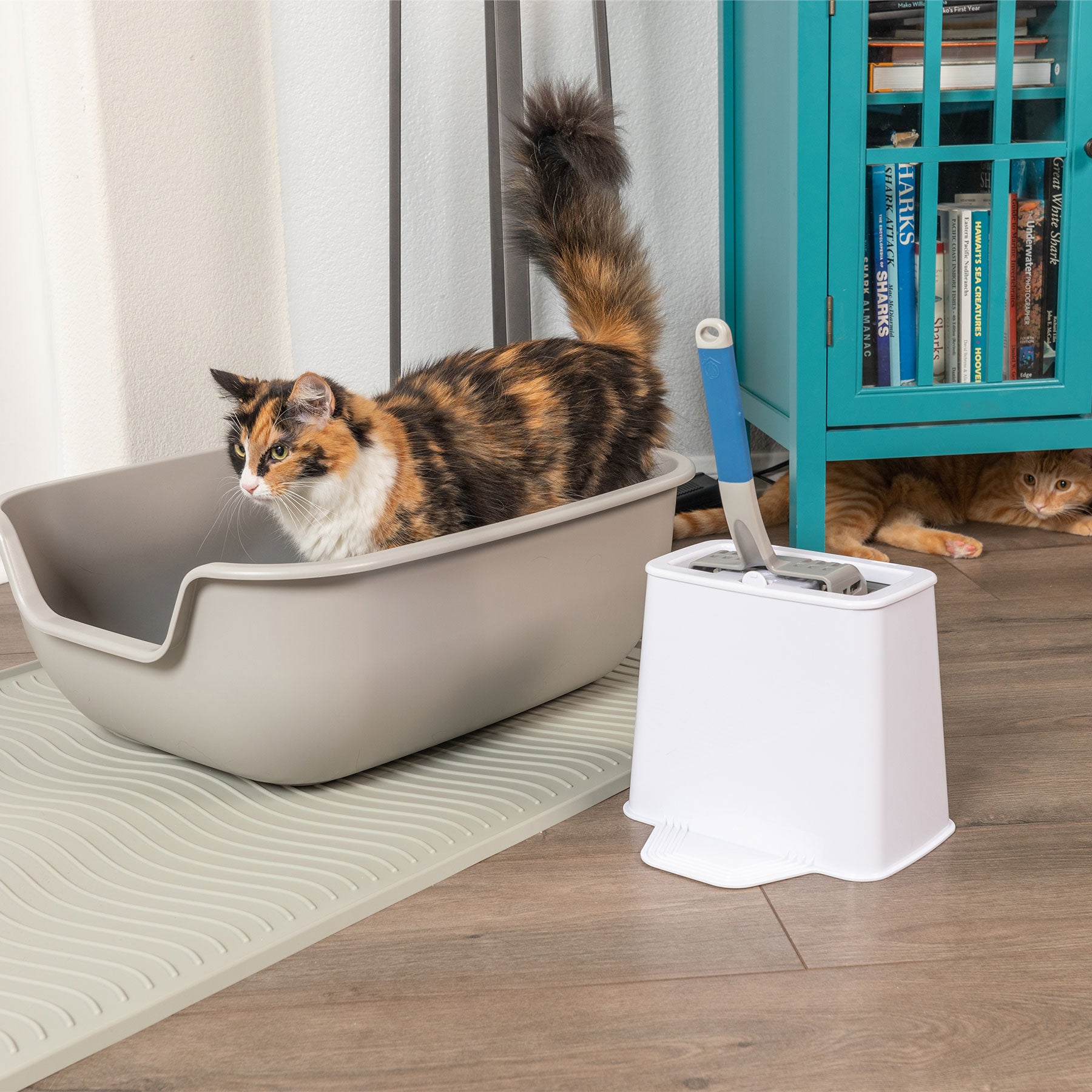 Cat litter box scoop holder best sale