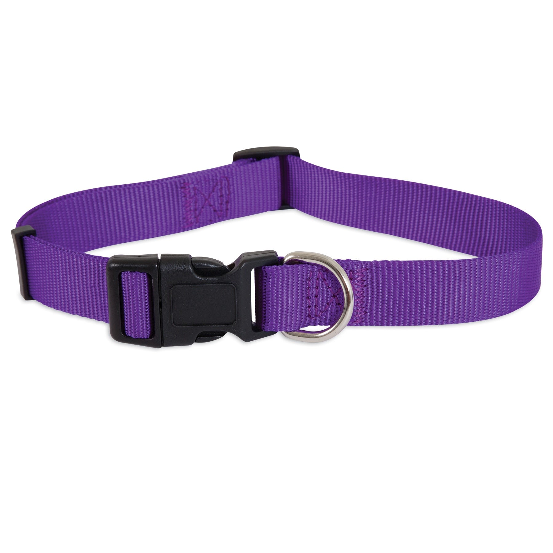 Petmate dog collars best sale