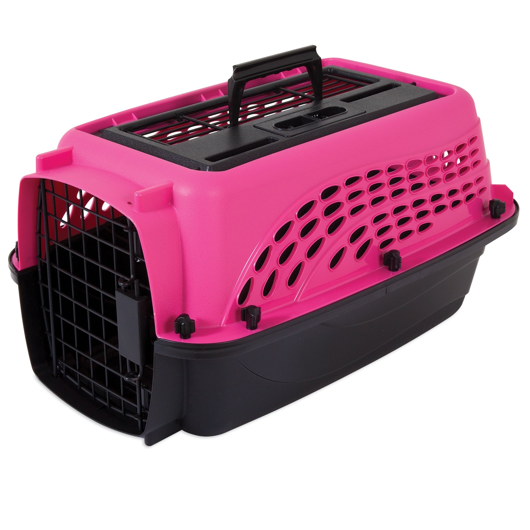 Kitty kennel hot sale near me