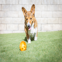 OurPets 3" IQ Treat Ball in Orange