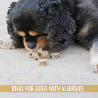 A small black-and-tan dog lies on a light floor, sniffing brown kibble-like food pieces. The text below reads IDEAL FOR DOGS WITH ALLERGIES, highlighting sustainable ingredients like North Atlantic Cod from Wild Eats Cod Treats by Wild Eats.