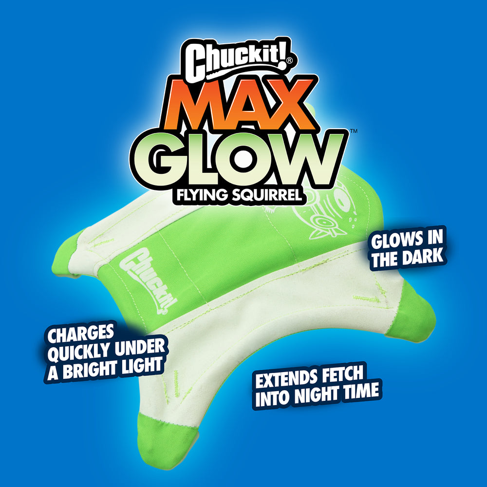 Chuckit! Glow Squirrel