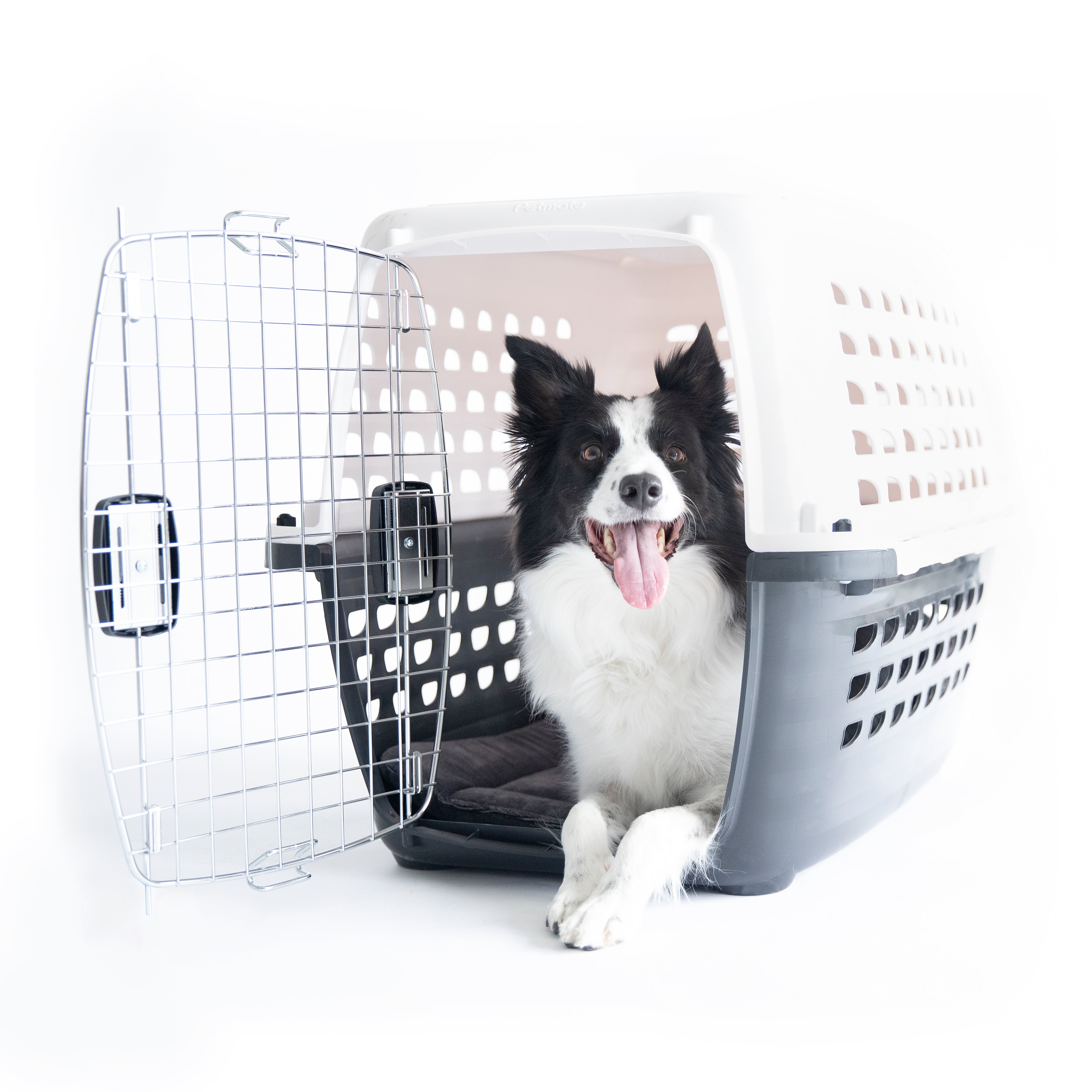 Compass shop pet carrier