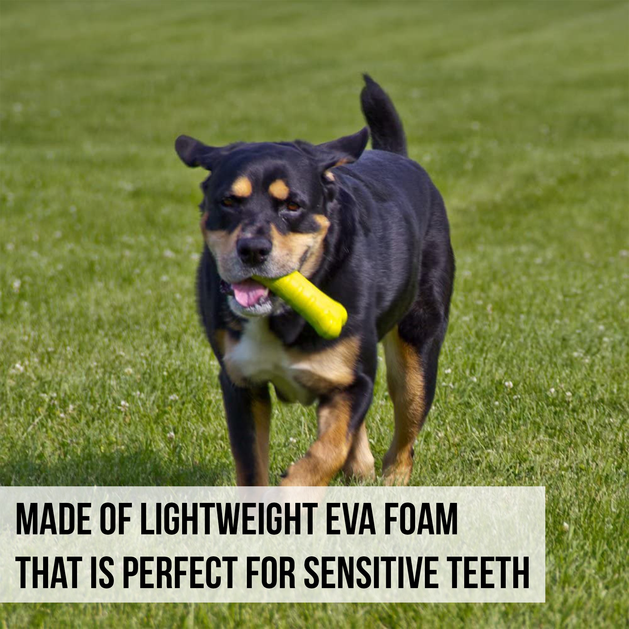 A black and brown dog with a yellow Hyper Pet Chewz Bone Dog Toy in its mouth runs across a grassy field. The image includes text: Made of lightweight EVA foam from non-toxic materials, perfect for sensitive teeth.