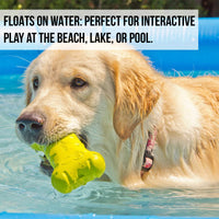 A golden retriever plays in a pool, holding a Hyper Pet Chewz Bone Dog Toy from Hyperpet in its mouth. Text on the image reads: Floats on water: Perfect for powerful chewers and interactive play at the beach, lake, or pool.