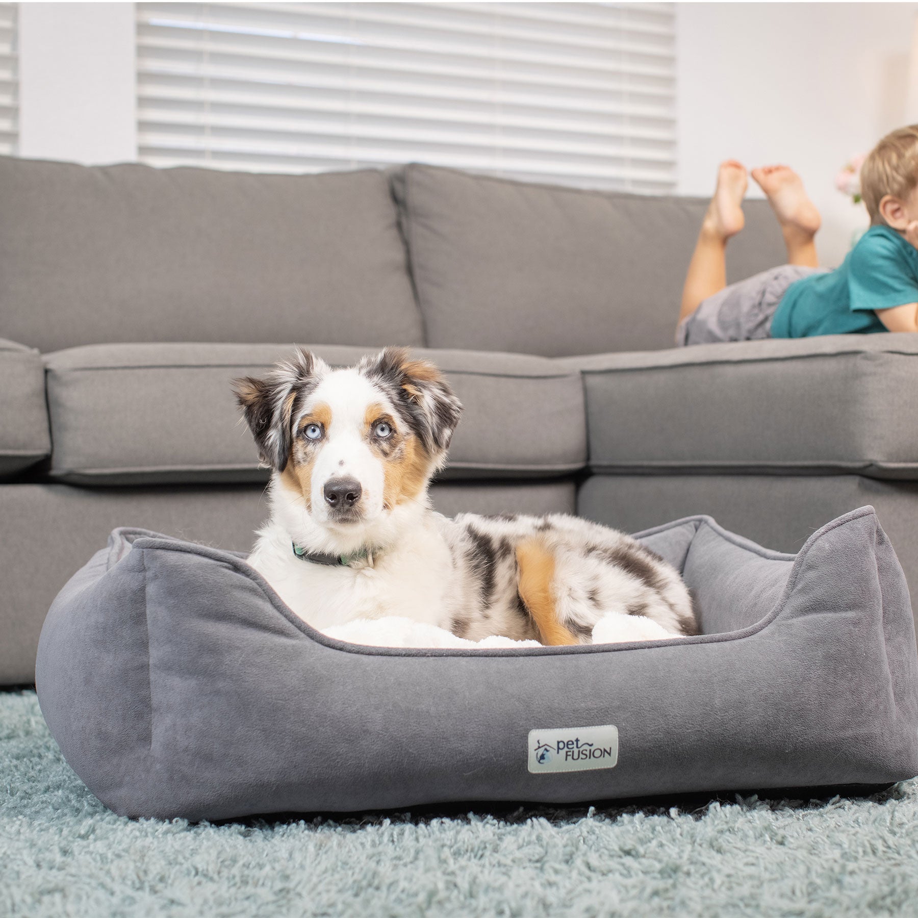 PetFusion Calming Cuddler Dog Bed Small