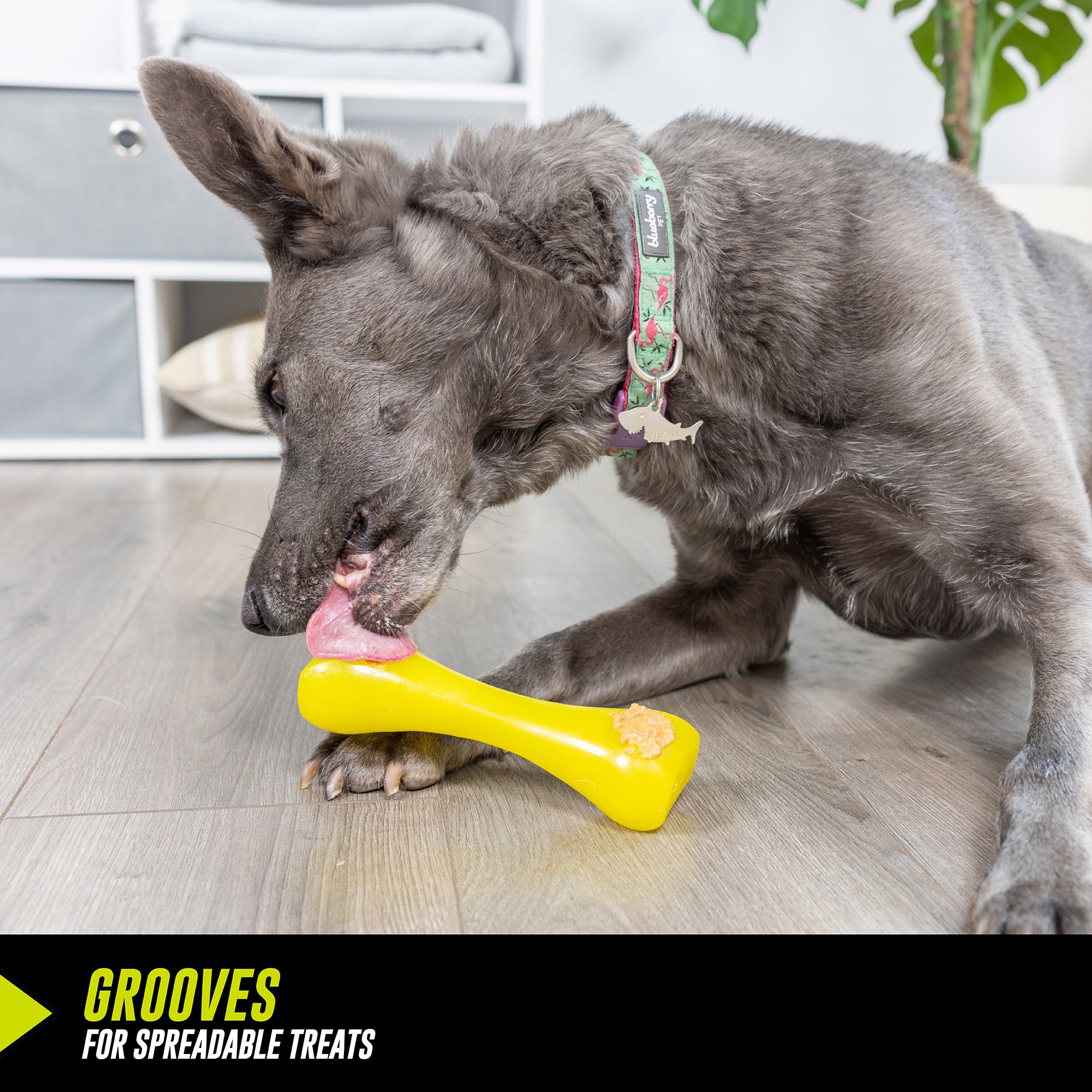 A gray-furred dog eagerly licks a yellow Hyperpet Hyper Pet Bonz toy, bone-shaped and beef-scented, with grooves for spreadable treats. GROOVES FOR SPREADABLE TREATS is printed on the corner. The patterned-collar dog stands on an indoor wood floor.