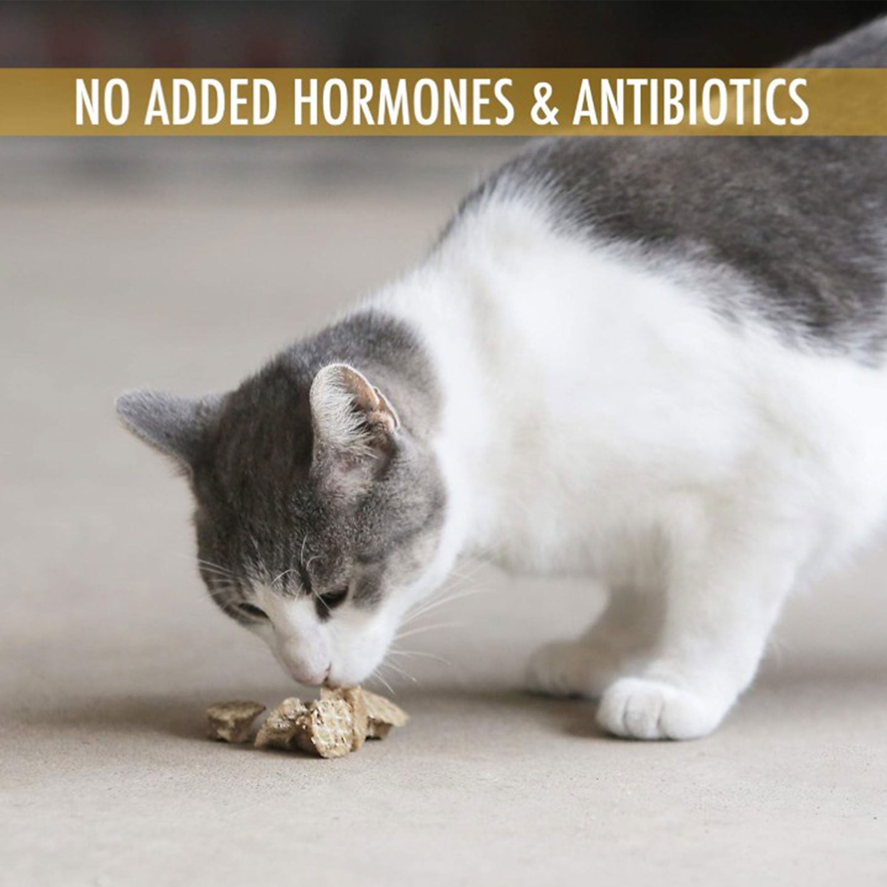 A white and gray cat relishes Wild Eats Cod Treats scattered on the floor, with the text No Added Hormones, Antibiotics & Rich in Omega-3 Fatty Acids above.