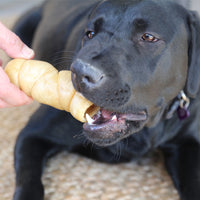 A black dog blissfully chews on a large, sustainable Wild Eats Water Buffalo Cheek Roll held by a hand, eyes slightly closed in enjoyment while resting on a patterned surface.