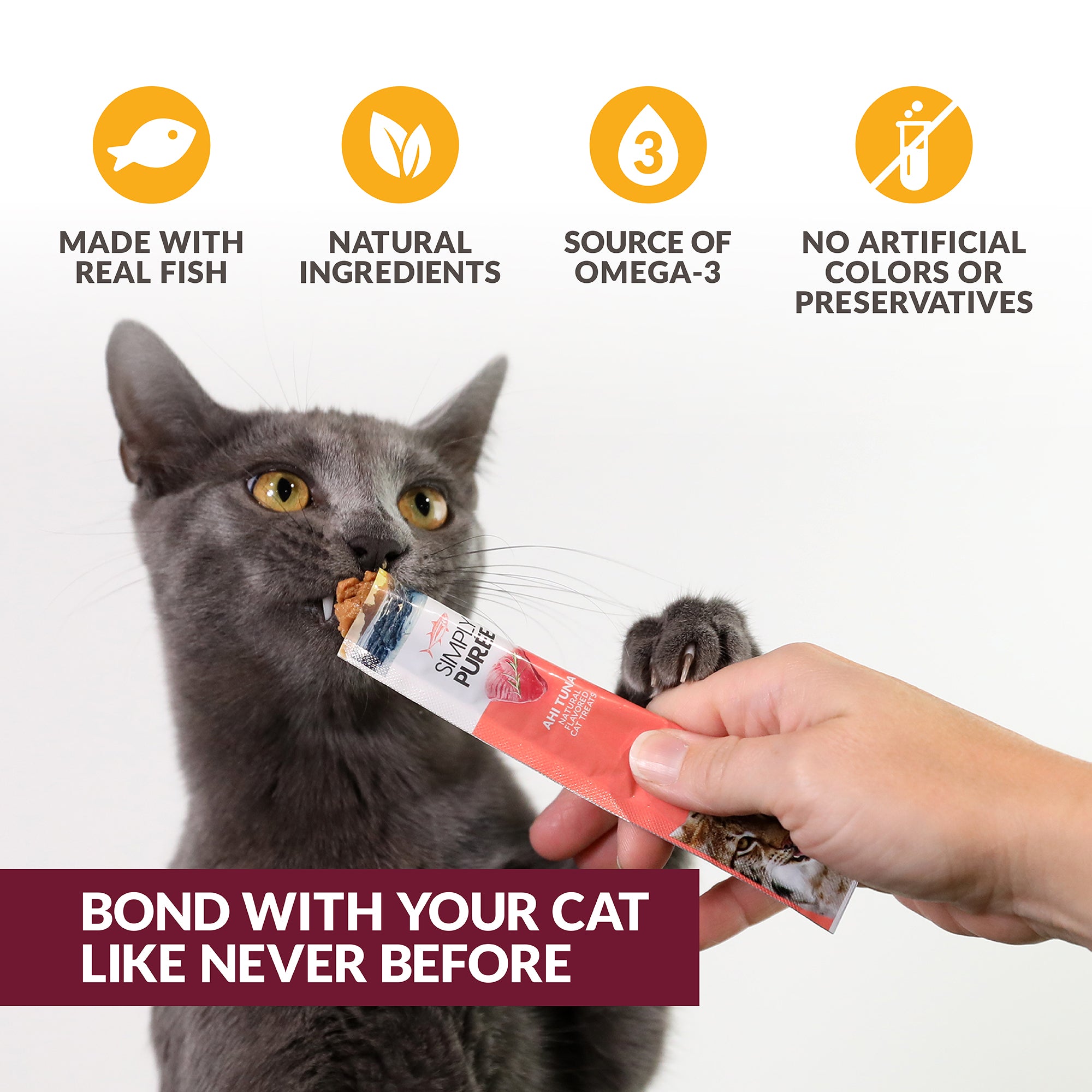 Bond With Your Cat Like Never Before Infographic