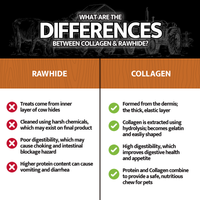 What Are The Differences Between Collagen and Rawhide Infographic