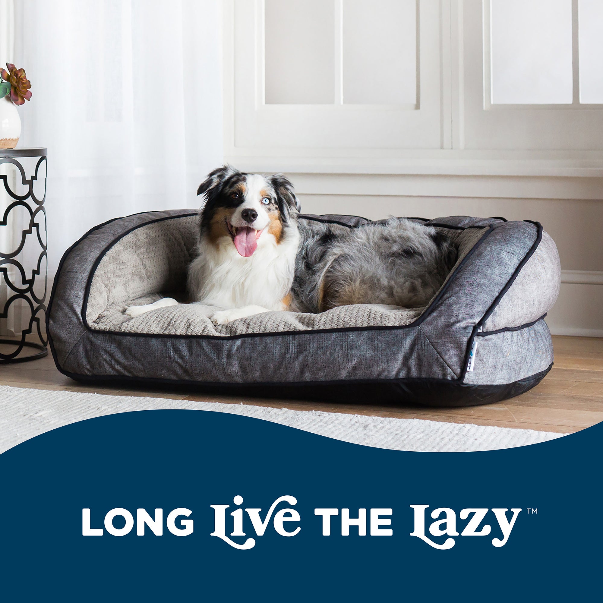 A cheerful dog lounges on the plush La-Z-Boy Harper Smoke Sofa in a bright room with white curtains and a dark side table. The Comfort Select fiber-fill promises coziness, with LONG LIVE THE LAZY displayed at the bottom against a blue background.