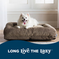 A fluffy white dog with its tongue out relaxes on a La-Z-Boy Rosie Lounger Taupe in a sunlit room. Below, a dark blue banner says Long Live the Lazy in white text, embodying the spirit of a ComfortSelect La-Z-Boy Dog Bed.