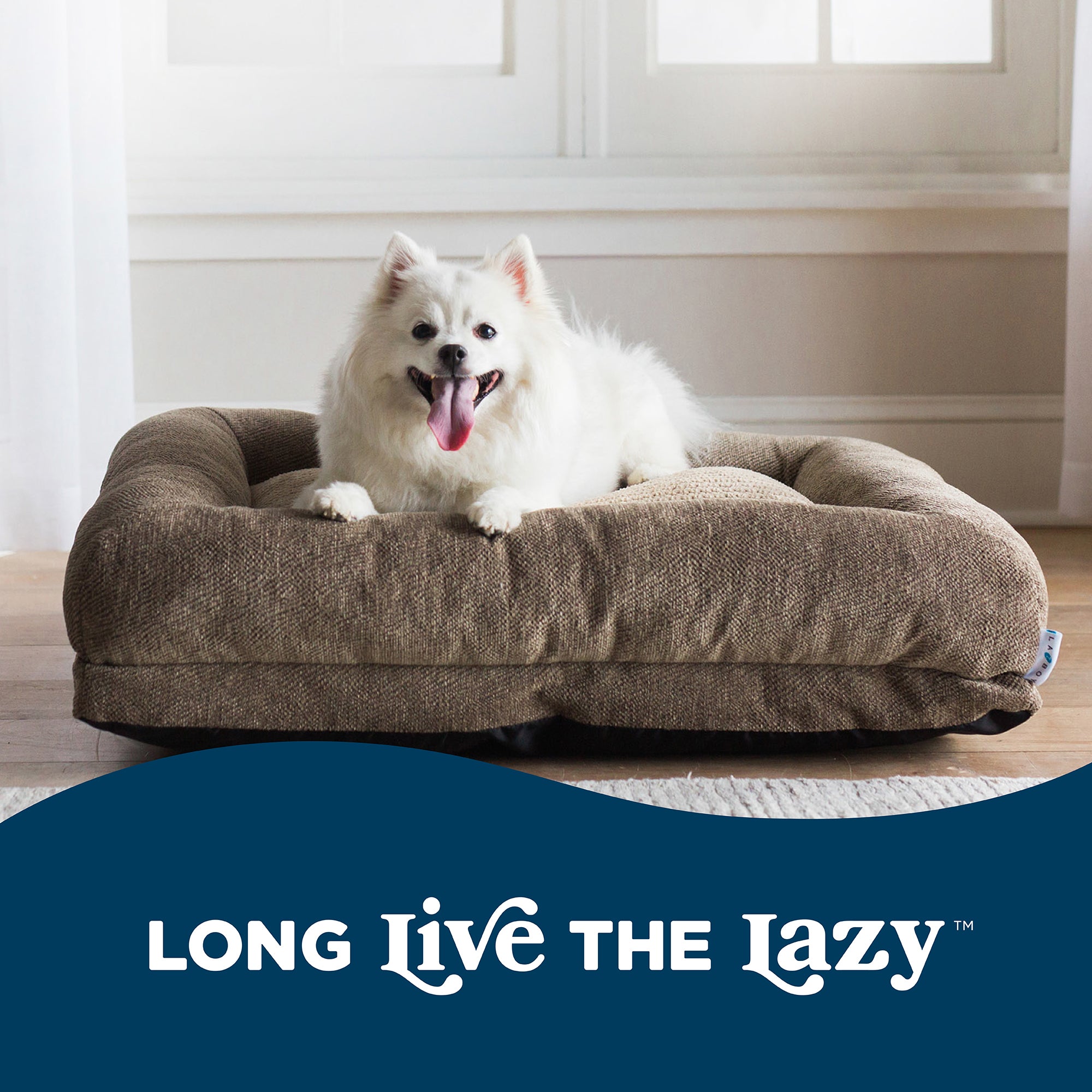 A fluffy white dog with its tongue out relaxes on a La-Z-Boy Rosie Lounger Taupe in a sunlit room. Below, a dark blue banner says Long Live the Lazy in white text, embodying the spirit of a ComfortSelect La-Z-Boy Dog Bed.