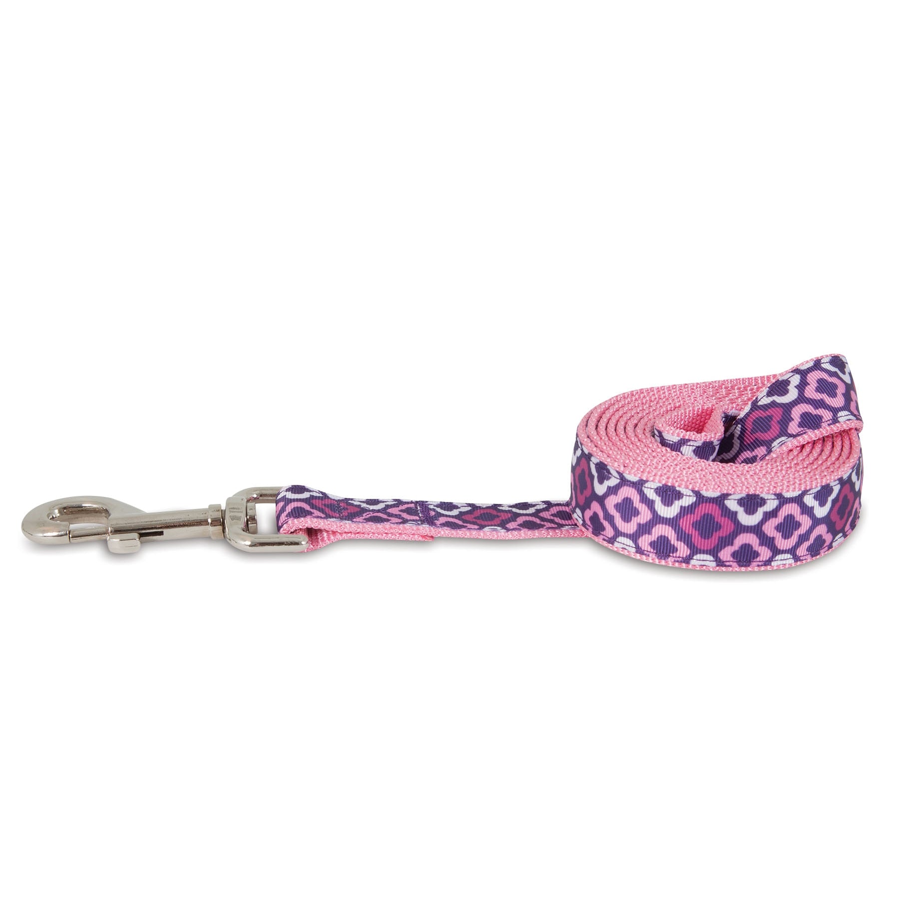 Aspen pet outlet leash