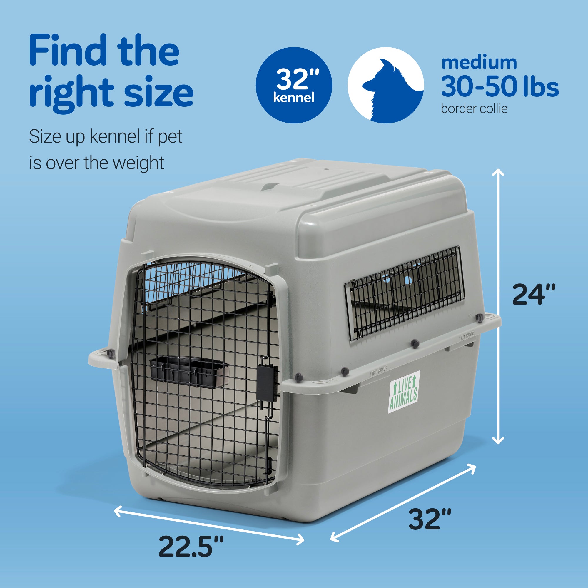 The image displays a Petmate Sky Kennel with a gray body and black metal door, measuring 32 long and 24 tall, ideal for pet travel. Suitable for pets over 30-50 lbs, like medium Border Collies. Its airline cargo specifications stand out against the blue background.