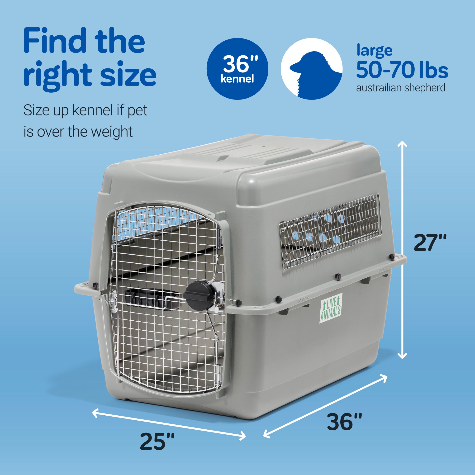 The image showcases a Petmate Sky Kennel, measuring 36x25x27, ideal for dogs weighing 50-70 lbs, such as large Australian shepherds. The phrase Find the right size stands out on a blue background, highlighting pet travel essentials.