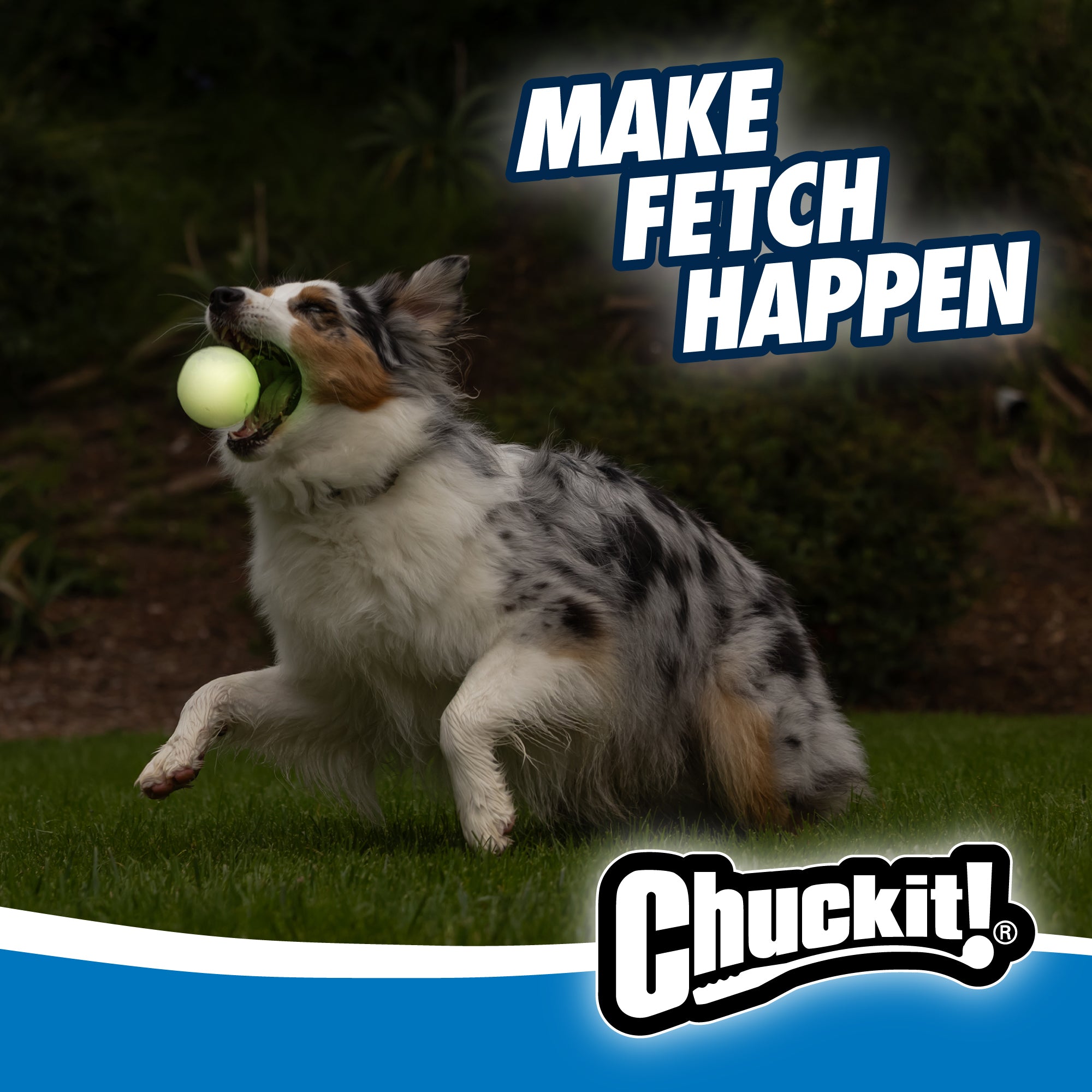 An Australian Shepherd leaps on grass, catching a durable rubber ball. Make Fetch Happen is overlaid at the top, with the Chuckit logo at the bottom. Ideal for night games due to the glow-in-the-dark feature of the Chuckit! Max Glow Fetch Ball.