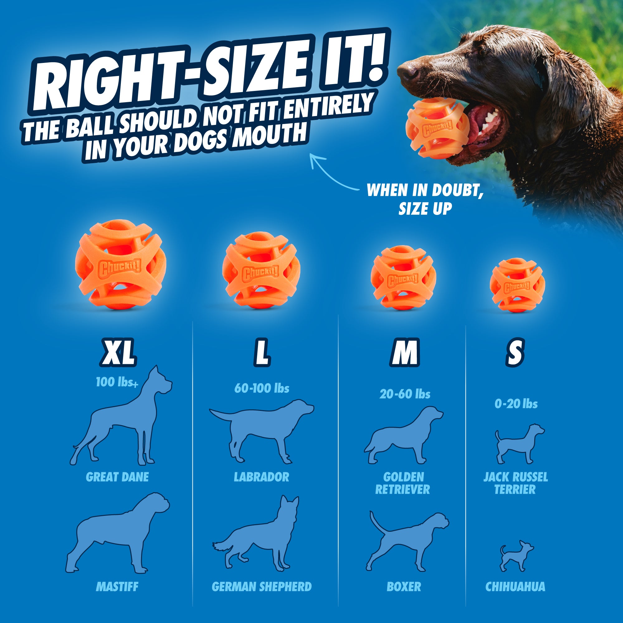 Chuckit! Air Fetch Ball