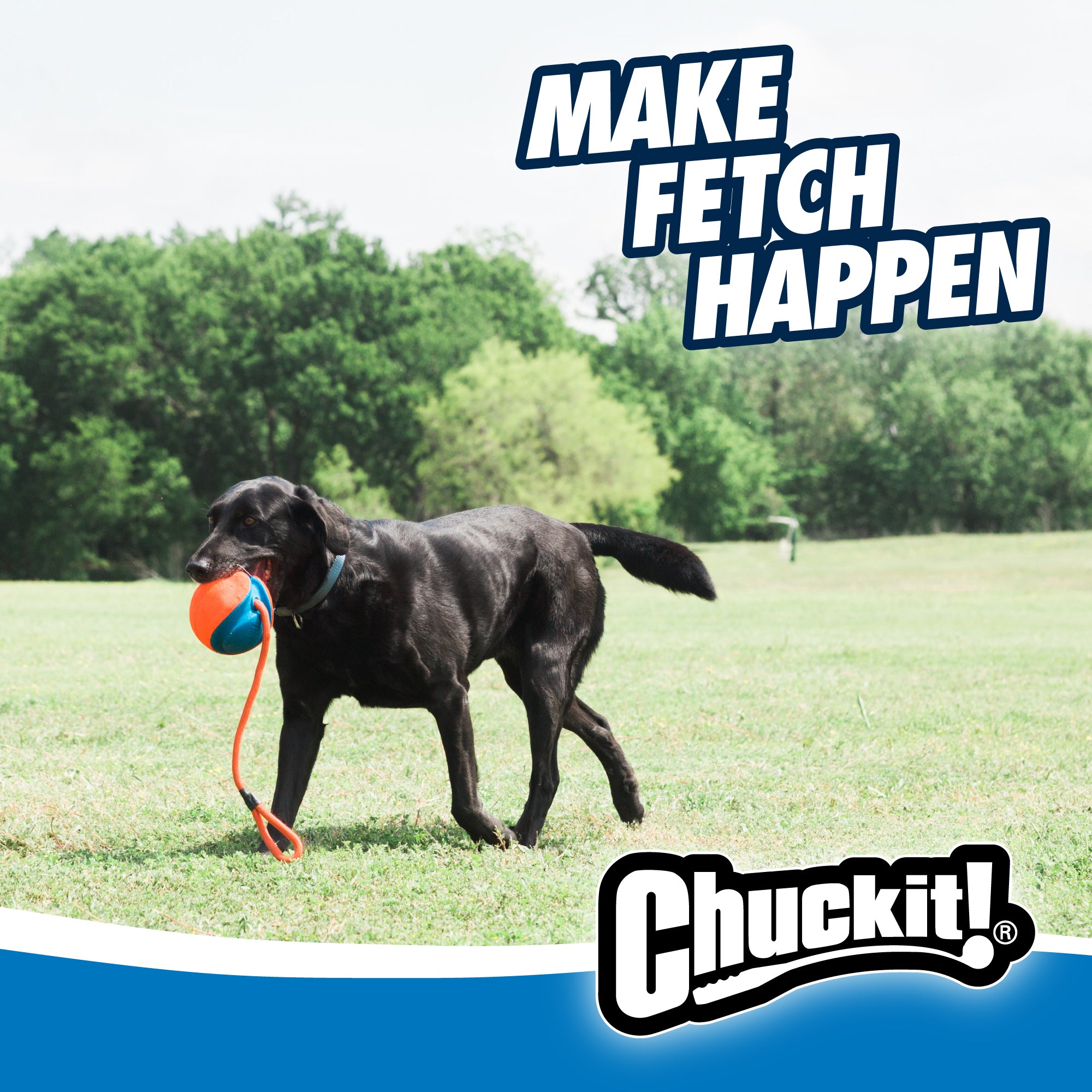 Chuckit! Rope Fetch Dog Toy