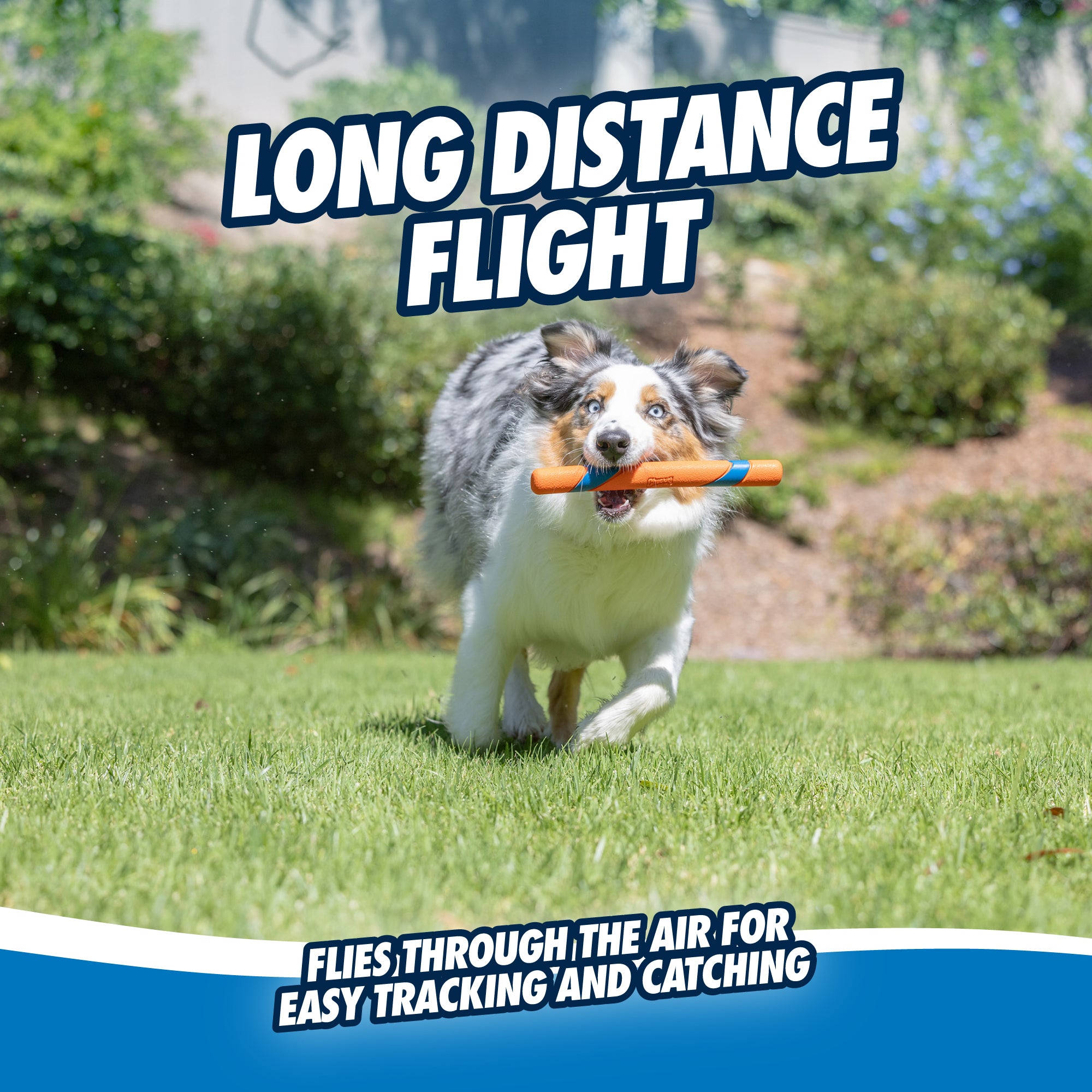 A dog sprints across the grass with a Chuckit! Ultra Fetch Stick by Chuckit in its mouth. The lush garden backdrop is vibrant with bushes. Above, it reads Long Distance Flight, while below, it says Flies through the air for easy tracking and catching.