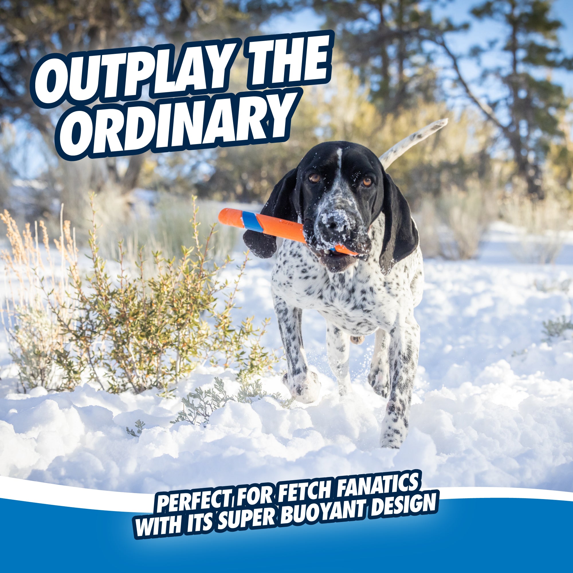 A black and white spotted dog runs through the snow with a Chuckit! Ultra Fetch Stick, featuring an orange and blue high-visibility design, in its mouth. The text reads, Outplay the Ordinary and Perfect for fetch fanatics with its super buoyant design. Snowy landscape and trees create a stunning backdrop.