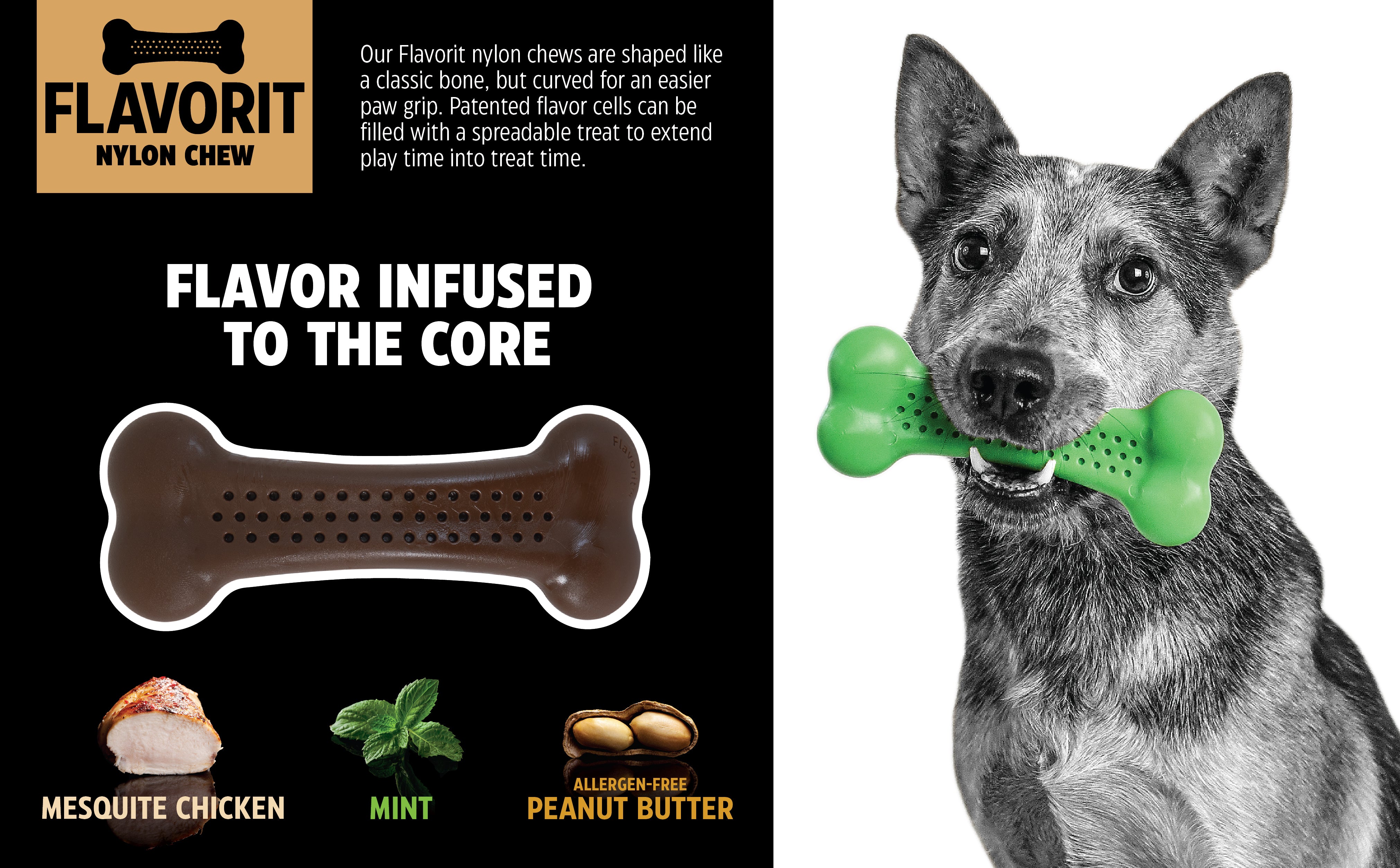 BarkBone Natural Instincts Mint Wood Flavorit Nylon Dog Chew Petmate