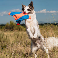 Chuckit! Flying Squirrel